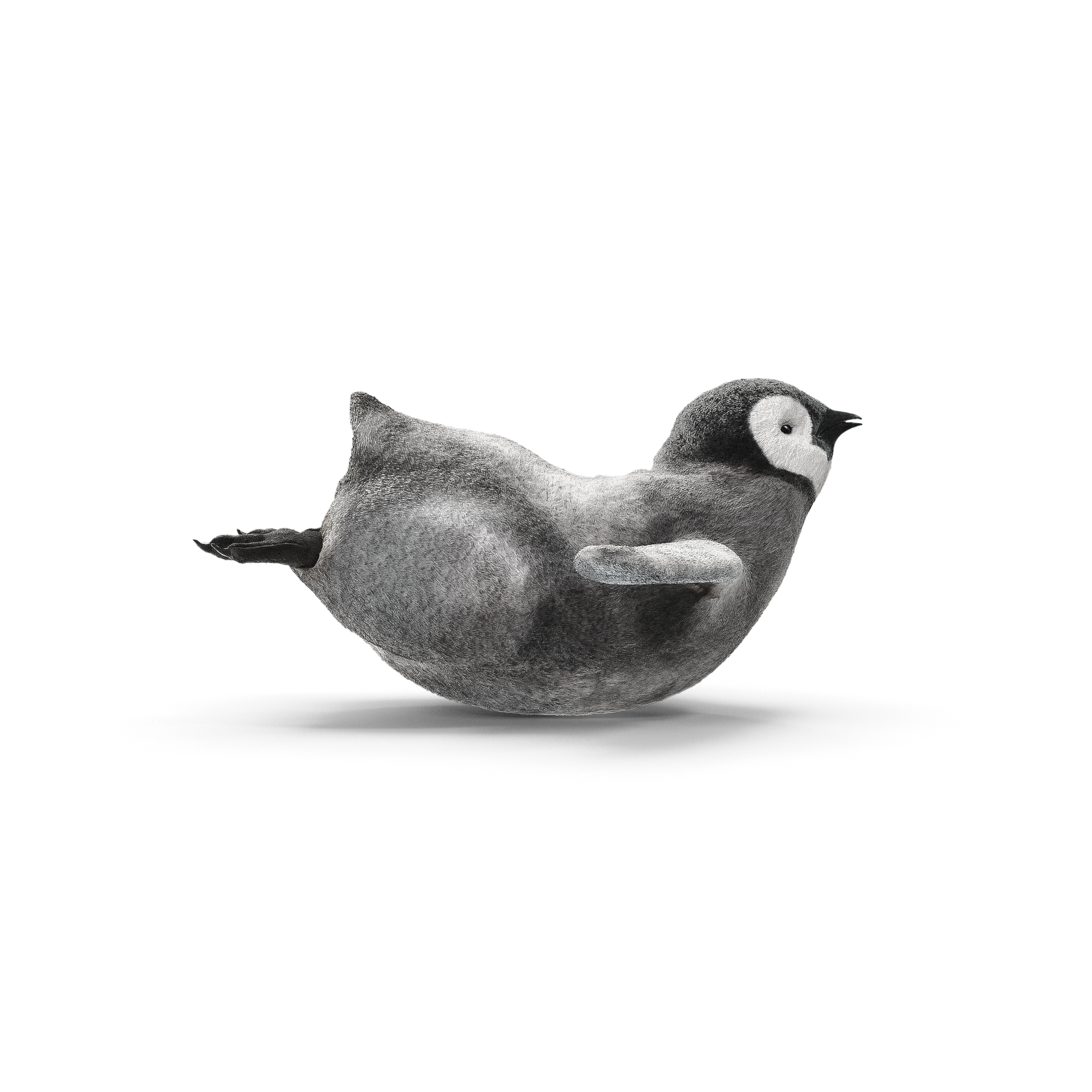 Image de pingouins en 3D pour le studio et agence de création de design graphique spécialisé dans la création de site internet et d’identité visuelle : Studio Edoras présent sur Paris, Neuilly sur Seine et Bordeaux