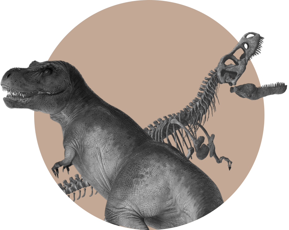Visuel avec des T-rex pour l'identité graphique du Studio Edoras.